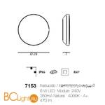 Настенно-потолочный светильник Linea Light Plate 7153 - Схема