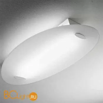 Настенно-потолочный светильник Linea Light Skate 6981