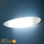 Настенно-потолочный светильник Linea Light Skate 6980