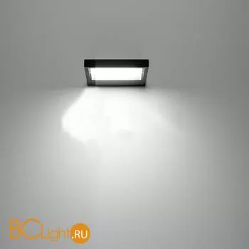 Настенный светильник Linea Light Tablet 7608 - Фото 0