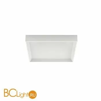 Потолочный светильник Linea Light Tara 8328