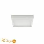 Потолочный светильник Linea Light Tara 8328