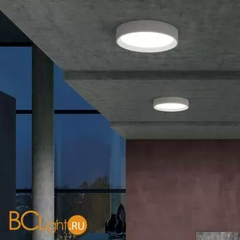 Потолочный светильник Linea Light Tara 8334 - Фото 0