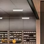 Светильник для струнной системы Linea Light Trix 8430