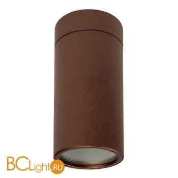 Потолочный светильник Linea Light Vision 51496