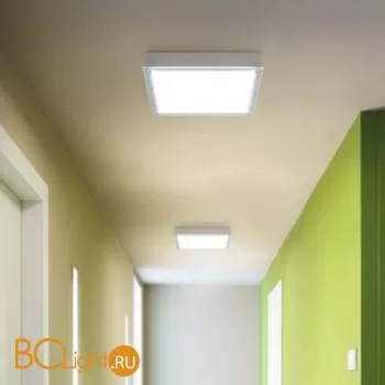 Настенно-потолочный светильник Linea Light Window 6690