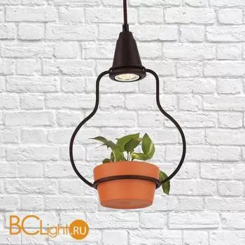 Подвесной светильник LOFT IT Anna 6969/1А