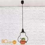 Подвесной светильник LOFT IT Anna 6969/1А - Фото 0