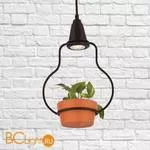 Подвесной светильник LOFT IT Anna 6969/1А