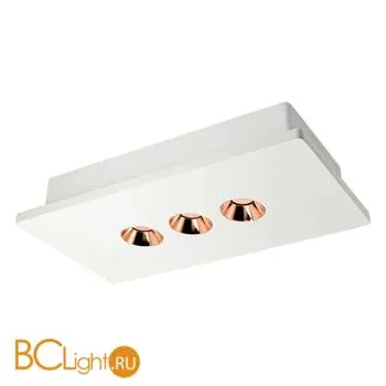 Потолочный светильник LOFT IT Architect OL1072-WG/3