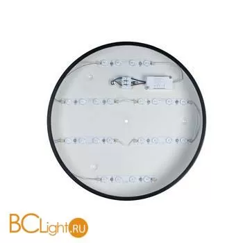 Потолочный светильник LOFT IT Axel 10002/24 Black - Фото 1