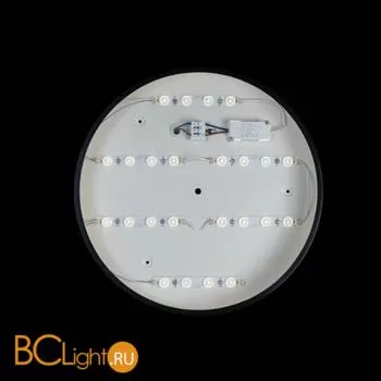 Потолочный светильник LOFT IT Axel 10002/24 Black - Фото 2