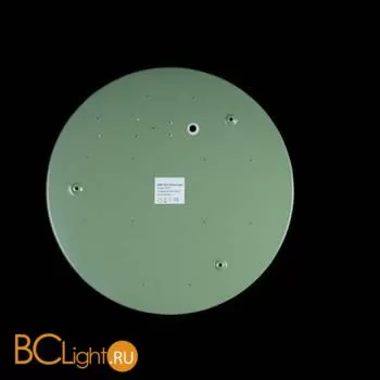 Потолочный светильник LOFT IT Axel 10002/24 Green - Фото 3