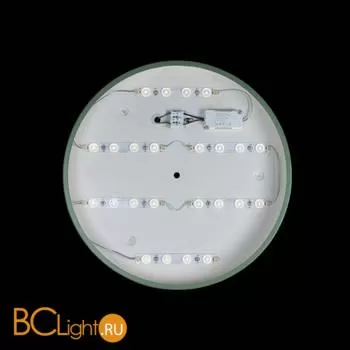 Потолочный светильник LOFT IT Axel 10003/24 Green - Фото 2