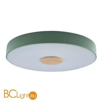 Потолочный светильник LOFT IT Axel 10003/24 Green