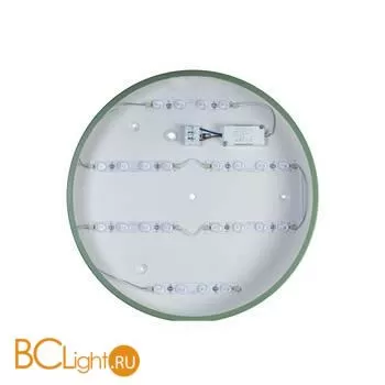 Потолочный светильник LOFT IT Axel 10003/24 Green - Фото 1