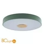 Потолочный светильник LOFT IT Axel 10003/24 Green