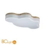 Потолочный светильник LOFT IT Axel 10005/36 White