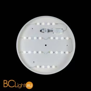 Потолочный светильник LOFT IT Axel 10002/24 White - Фото 2