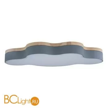 Потолочный светильник LOFT IT Axel 10005/36 Grey