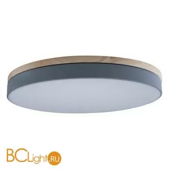 Потолочный светильник LOFT IT Axel 10001/36 Grey