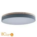 Потолочный светильник LOFT IT Axel 10001/36 Grey