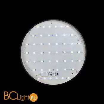 Потолочный светильник LOFT IT Axel 10002/48 Black - Фото 2