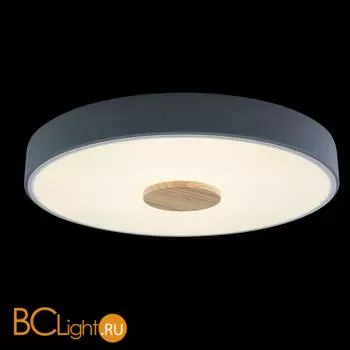 Потолочный светильник LOFT IT Axel 10003/24 Grey - Фото 0