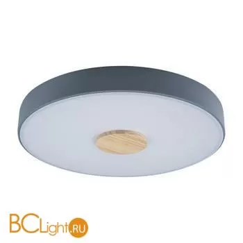 Потолочный светильник LOFT IT Axel 10003/24 Grey