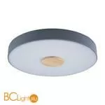 Потолочный светильник LOFT IT Axel 10003/24 Grey