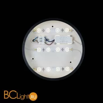 Накладной точечный светильник (спот) LOFT IT Axel 10002/12 Black - Фото 2