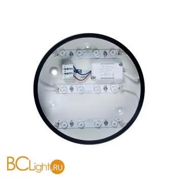 Накладной точечный светильник (спот) LOFT IT Axel 10002/12 Black - Фото 1