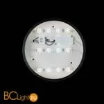 Накладной точечный светильник (спот) LOFT IT Axel 10002/12 Black - Фото 2