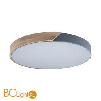 Потолочный светильник LOFT IT Axel 10004/36 Grey