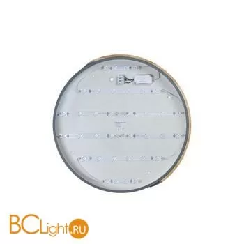 Потолочный светильник LOFT IT Axel 10004/36 Grey - Фото 1