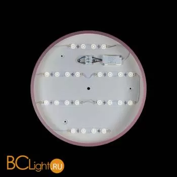 Потолочный светильник LOFT IT Axel 10003/24 Pink - Фото 2