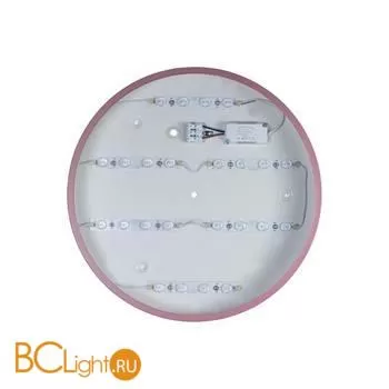 Потолочный светильник LOFT IT Axel 10003/24 Pink - Фото 1