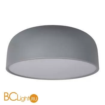 Потолочный светильник LOFT IT Axel 10201/480 Grey