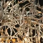 Люстра LOFT IT Bijout 10067/1500 SG - Фото 5