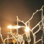 Бра LOFT IT Bijout 10067/3W SG - Фото 6