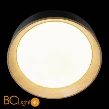 Потолочный светильник LOFT IT coin 10202 Black - Фото 2