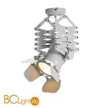 Потолочный светильник LOFT IT Corra LOFT3096-M - Фото 0