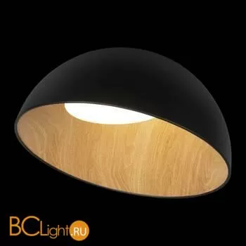 Потолочный светильник LOFT IT egg 10197/500 Black - Фото 0