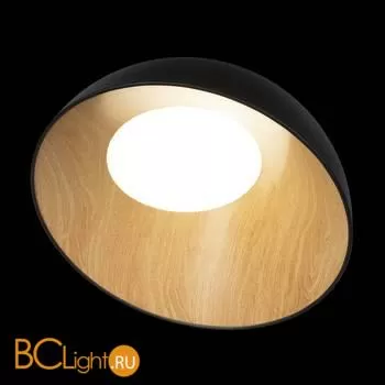 Потолочный светильник LOFT IT egg 10197/500 Black - Фото 2