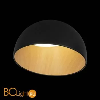 Потолочный светильник LOFT IT egg 10197/350 Black - Фото 0