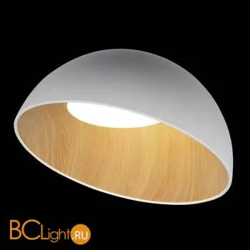 Потолочный светильник LOFT IT egg 10197/500 White - Фото 0