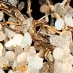 Люстра LOFT IT Fairytree 10066/800 GB - Фото 10