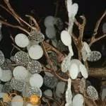 Торшер LOFT IT Fairytree 10066F GB - Фото 0