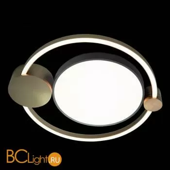 Потолочный светильник LOFT IT Gerdis 10049 - Фото 4