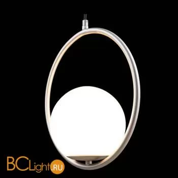 Подвесной светильник LOFT IT Glob LOFT2600-B - Фото 3